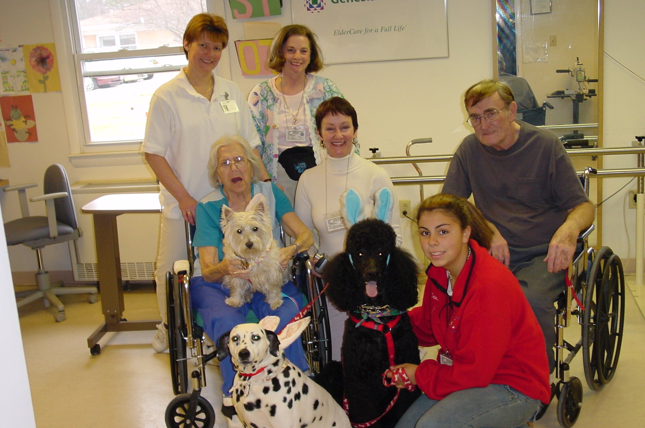 Become A Member - Bright & Beautiful Therapy Dogs